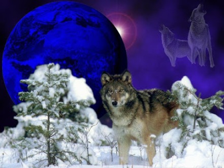Winter-Wolf